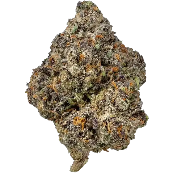 Lemonnade Categories Flower